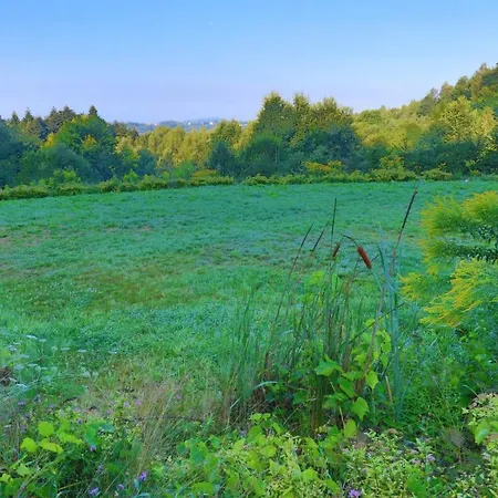 Lesny Dom Gorska Holiday home *