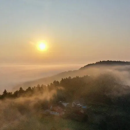 Lesny Dom Gorska 度假居