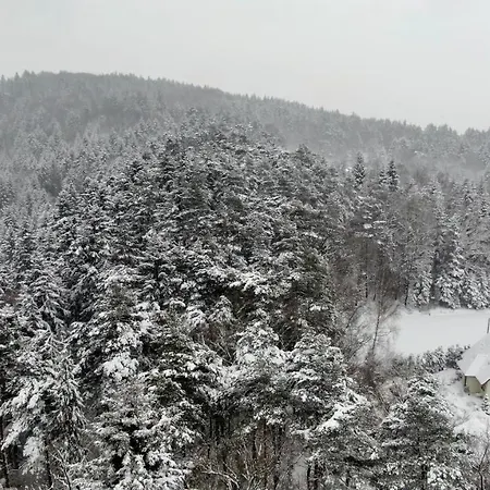 度假居 Lesny Dom Gorska