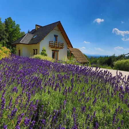 Lesny Dom Gorska Holiday home