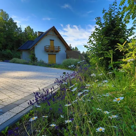 Lesny Dom Gorska Holiday home