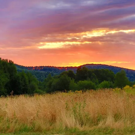 Lesny Dom Gorska *